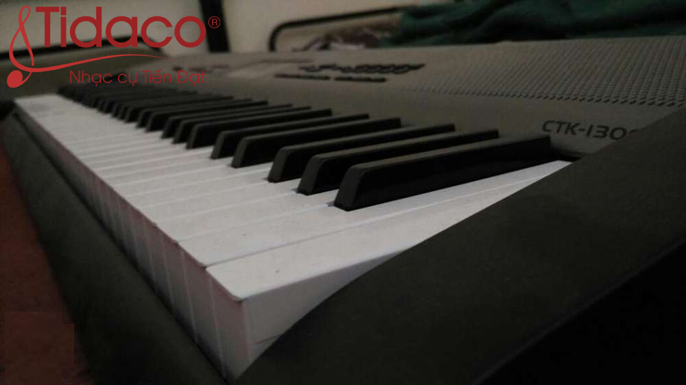 organ Casio CTK 1300