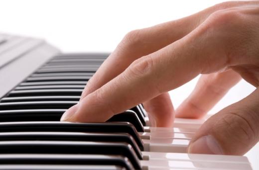 Touch sensitivity organ
