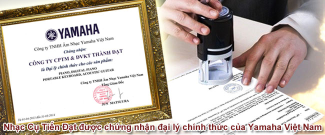 Chứng nhận Nhạc cụ Tiến Đạt