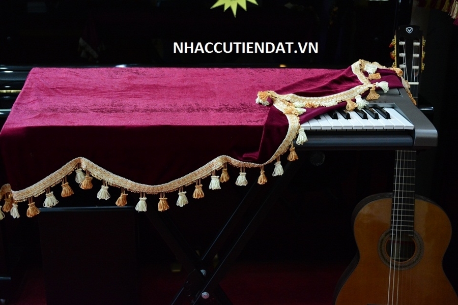 khan phu dan organ