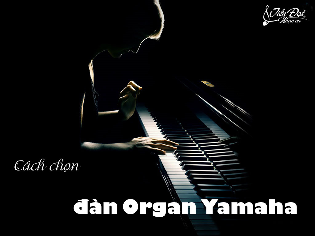 cach chon dan organ yamaha