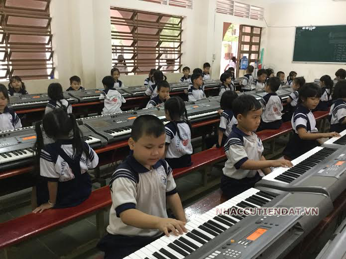 đàn organ cho dự án trường học, organ cho học sinh, organ cho giáo viên