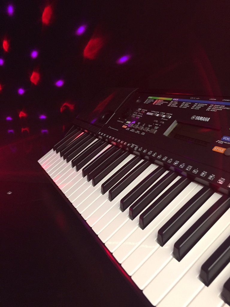 dan organ yamaha psr-e263