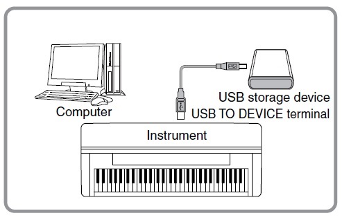 loi dan organ khong doc duoc usb