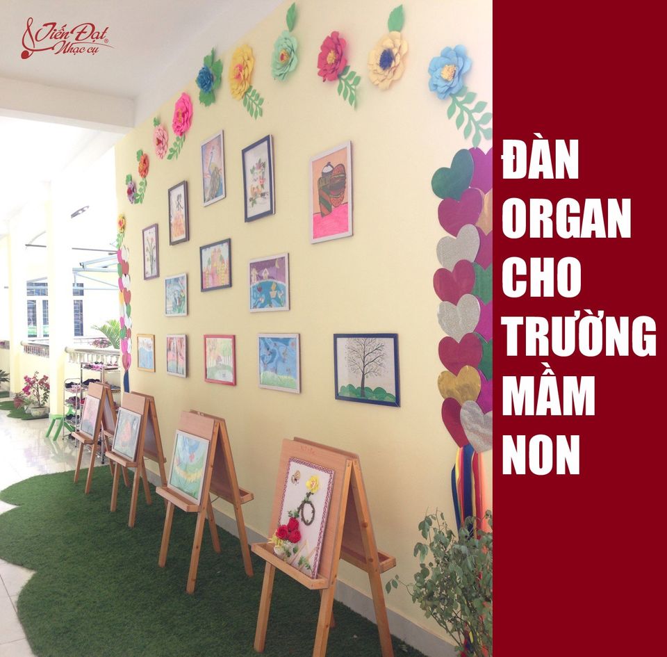 organ mam non