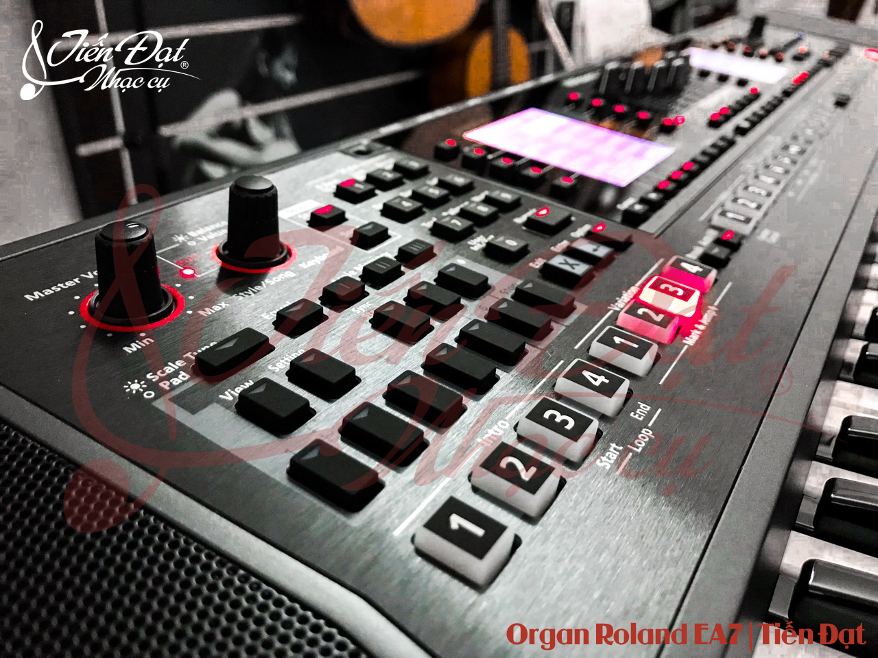 mua dan organ roland EA7