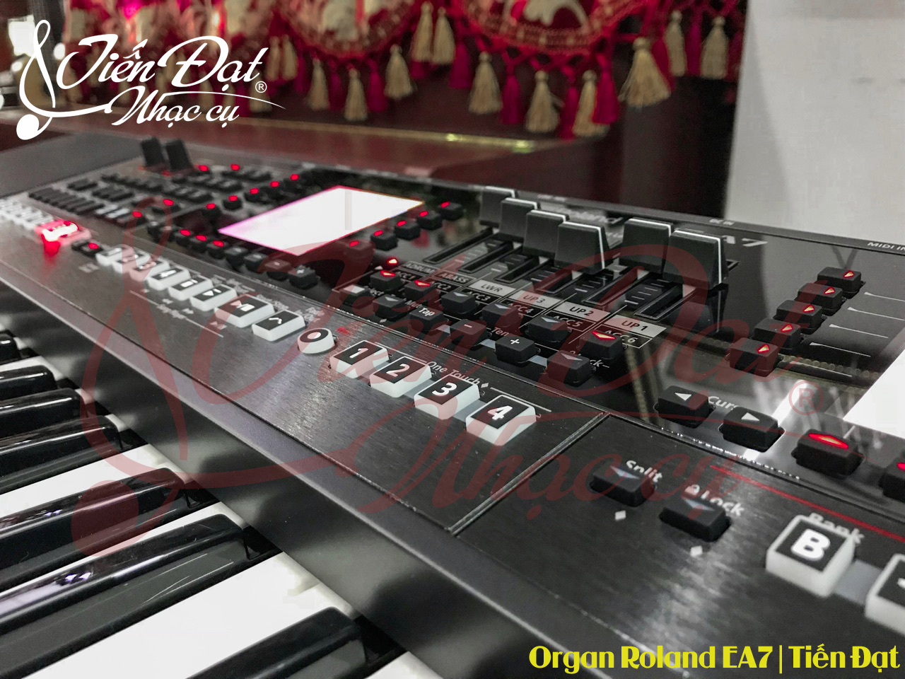 dan organ roland ea7 gia re