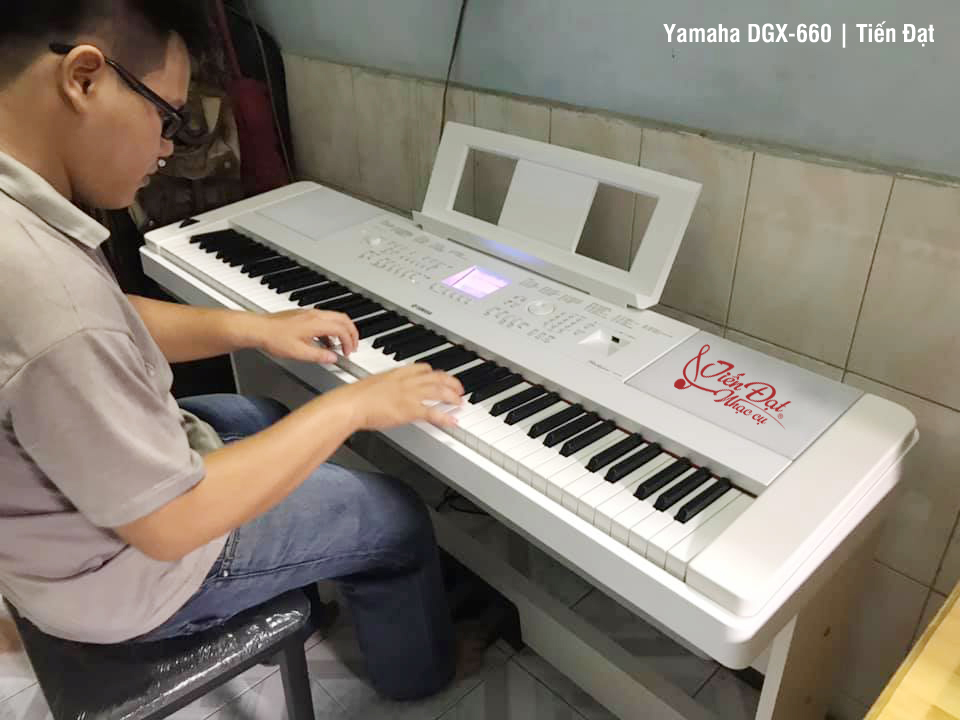 yamaha dgx660 gia re